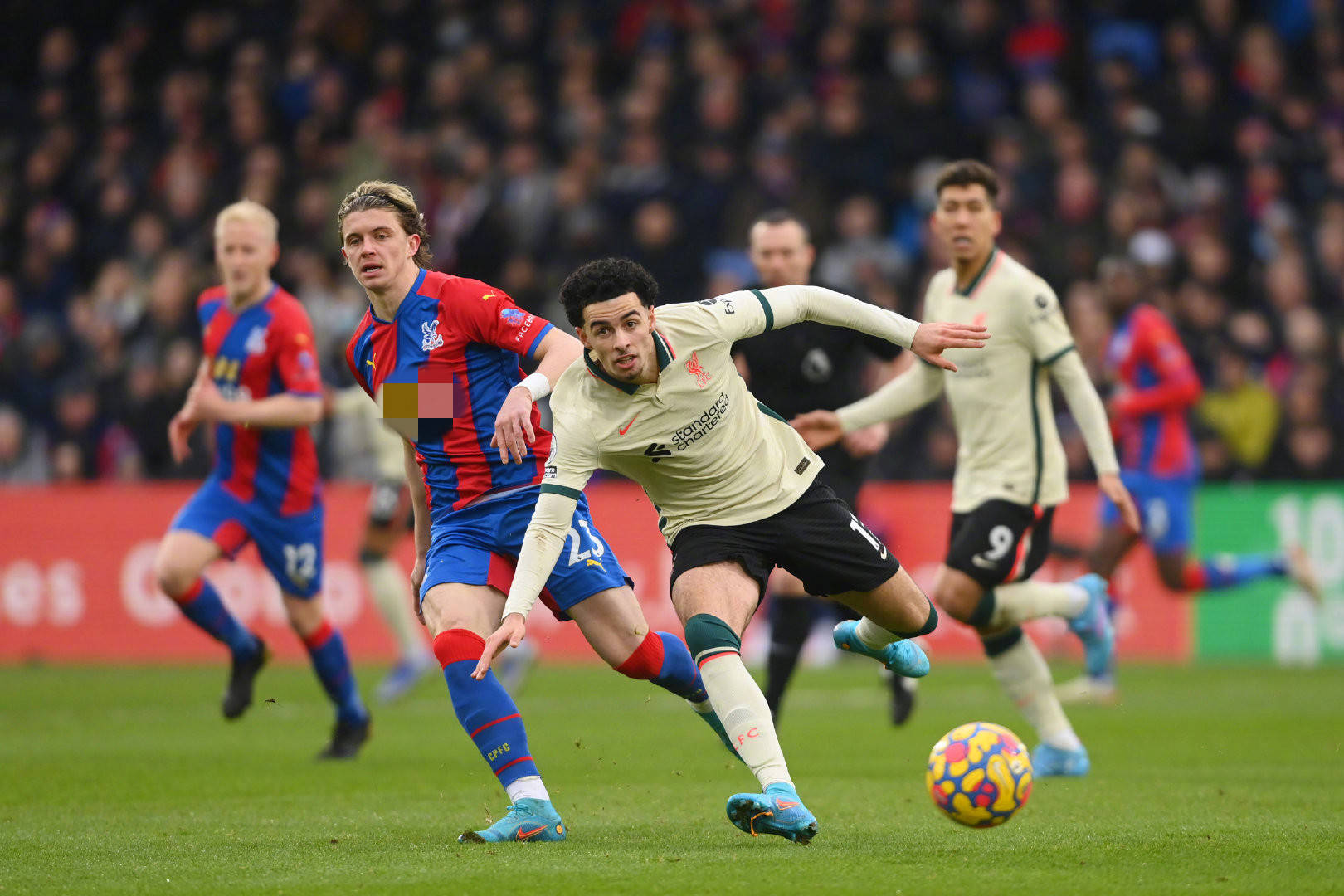 得了广泛赞 得了广泛赞